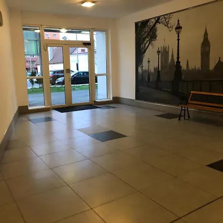 Alpha Brasov
